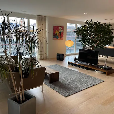 Moderne, Grosszuegige City-wohnung Mit Super Fast Wlan Apartment *